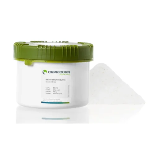 Bovine Serum Albumin