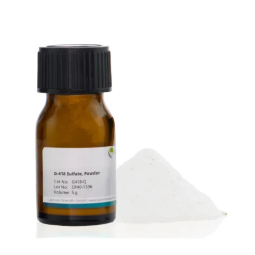 Transfection Antibiotics