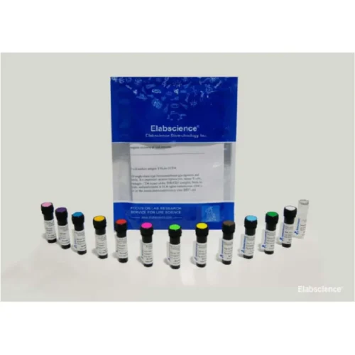 Flow Cytometry Antibodies