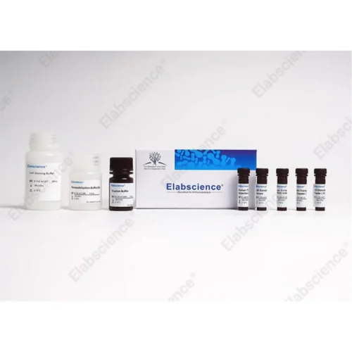 Flow Cytometry Reagents