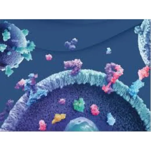 Recombinant Proteins