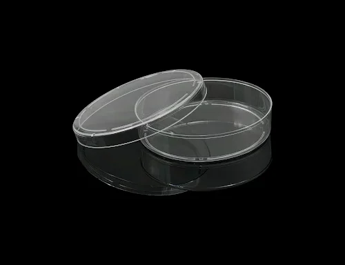 Cell Culture Dish