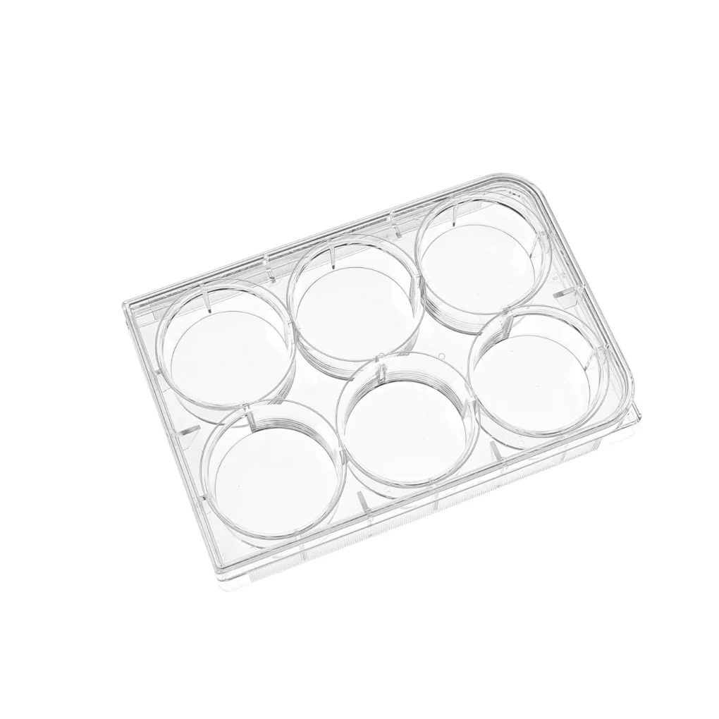 Cell Culture Plate